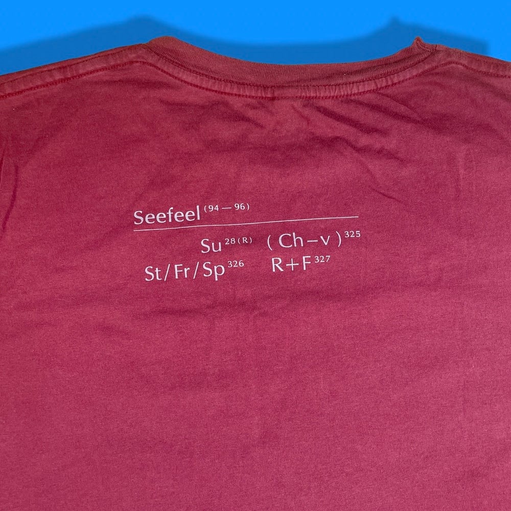 Tee: Seefeel - Succour (REDUX) OOP Size:L