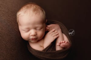 Image of Cozy Lite Hickory