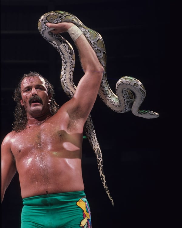 Image of SIGNED Victorious Snake 8x10