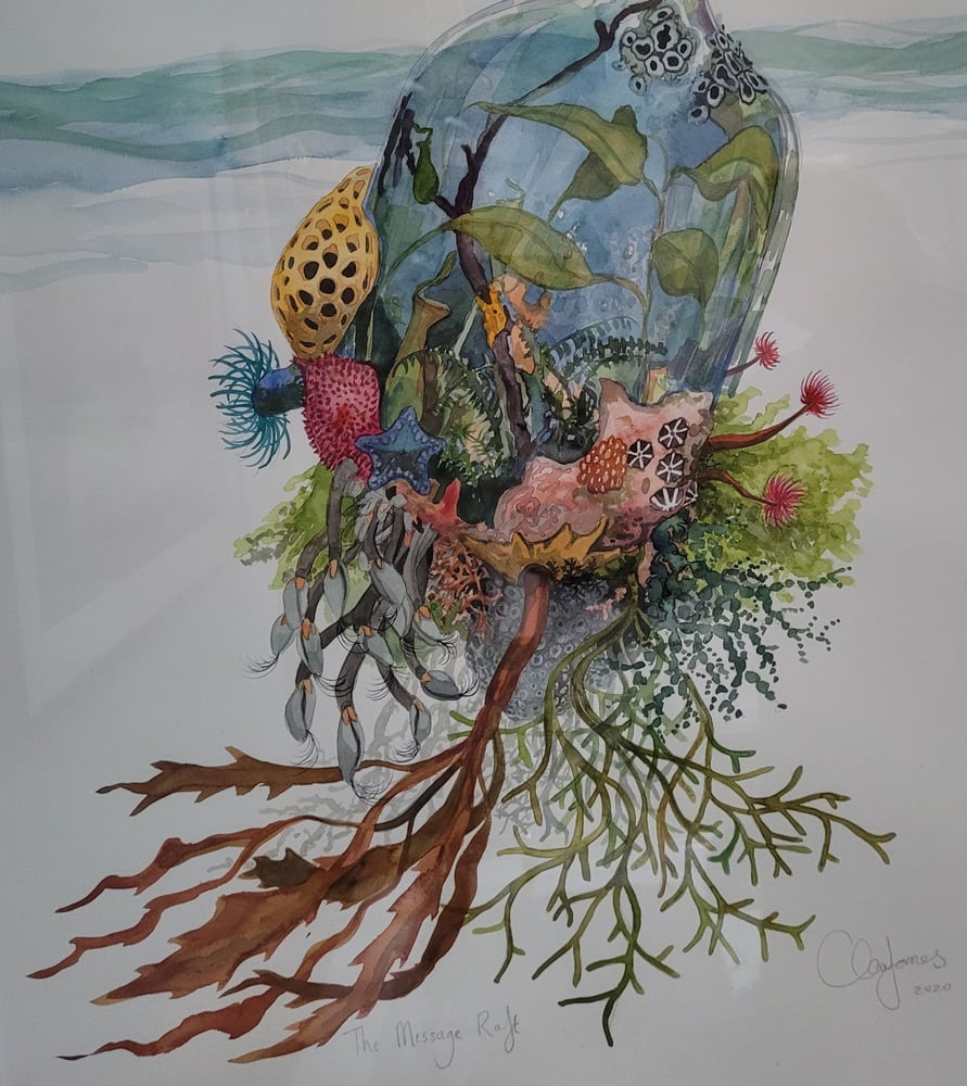 Image of Bottle Raft original (framed original)