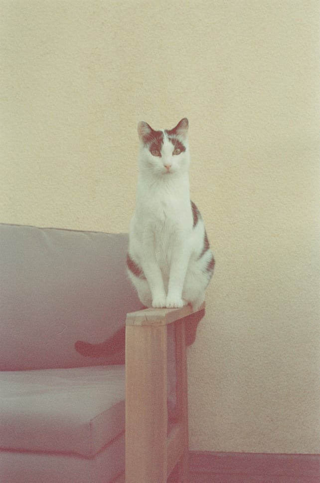 Image of Kodacolor 100 - expired