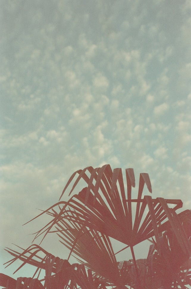 Image of Kodacolor 100 - expired