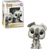 Walt Disney World Pirates of The Caribbean Dog POP! Vinyl Figure