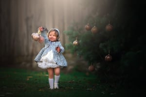 Image of Custom Christmas session retainer fee