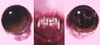0vvv0 (5x10 inches) fine art print