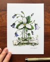 Trillium and Witch's Bells Print