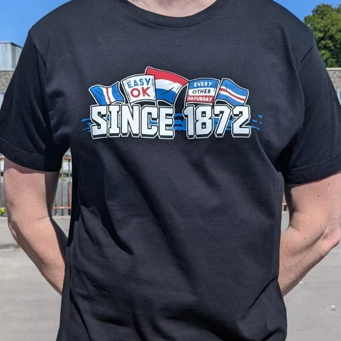 Image of Flags and Banners Tee