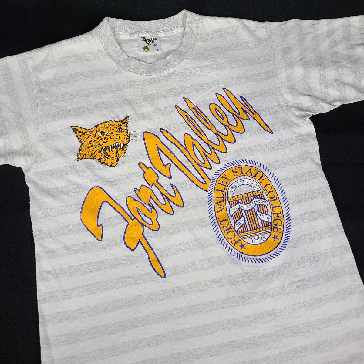 Image of Vintage 90s Fort Valley State College HBCU Tee