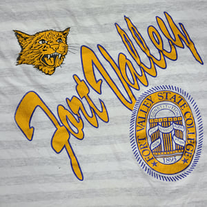 Image of Vintage 90s Fort Valley State College HBCU Tee