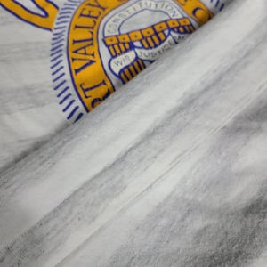 Image of Vintage 90s Fort Valley State College HBCU Tee