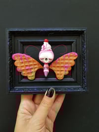 Image 4 of Strawberry Ice Cream Butterfly 2