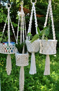 Image 4 of Basket-Style Plant Hanger (Long)
