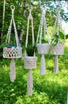 Basket-Style Plant Hanger (Long)