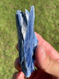 Image 6 of Blue Kyanite & Quartz Specimen #1897