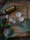 Boucles d'oreille petite fleur blanche