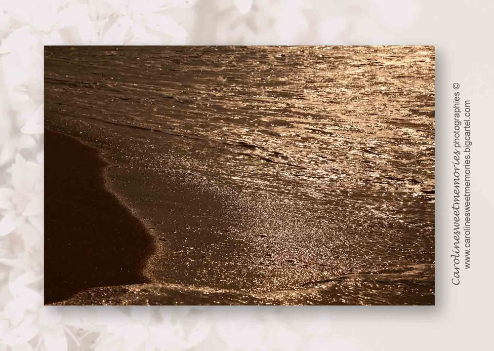 Image of Golden sea | carte postale