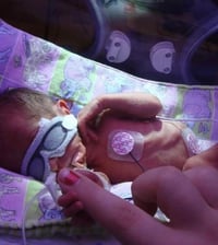 Image 4 of ELLIE'S POSITIVE PUMPKIN PIE 