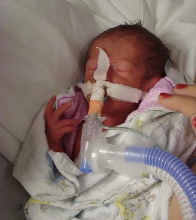 ELLIE'S POSITIVE PUMPKIN PIE 