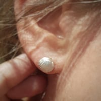 Image 2 of TINY SHELL