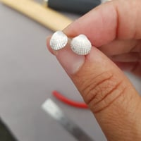 Image 3 of TINY SHELL