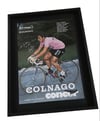 Advertising poster of Giuseppe Saronni for the Concor and Colnago brands