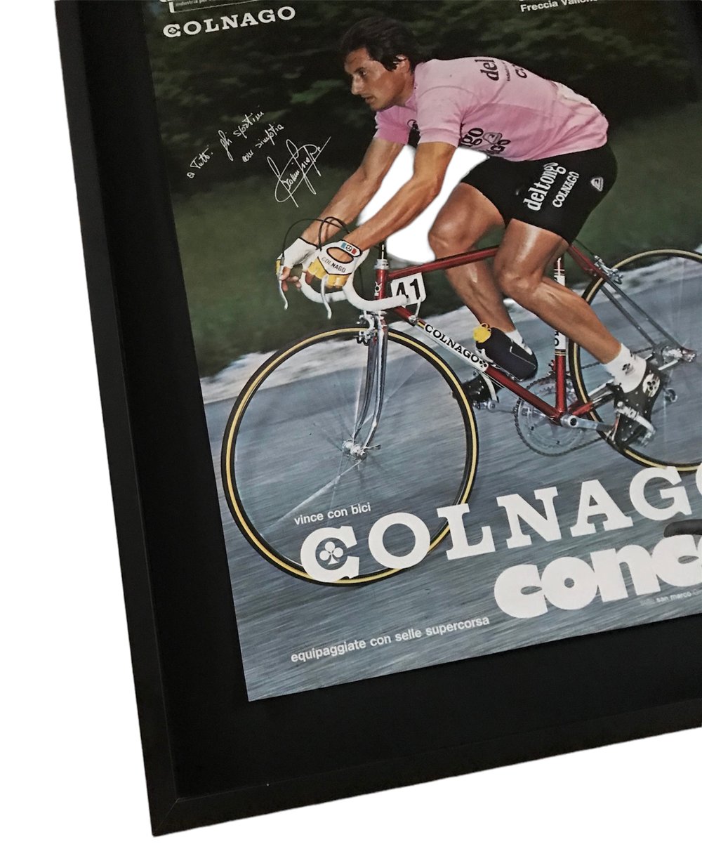 Advertising poster of Giuseppe Saronni for the Concor and Colnago brands