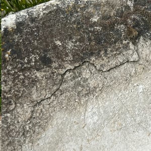 Image of Willy Guhl Tilted Circular Planter