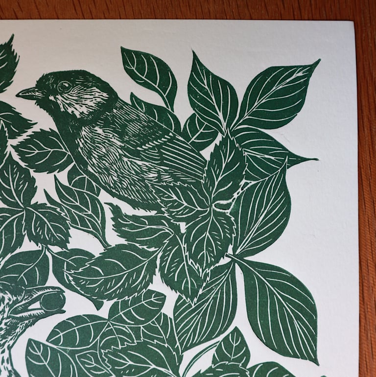Hedgerow Image 3
