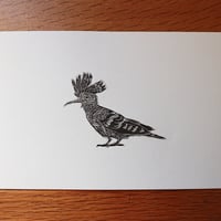 Image 1 of Little Hoopoe (wood engraving)