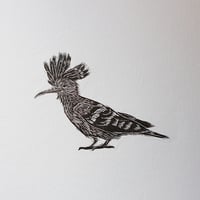 Image 2 of Little Hoopoe (wood engraving)