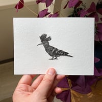 Image 3 of Little Hoopoe (wood engraving)