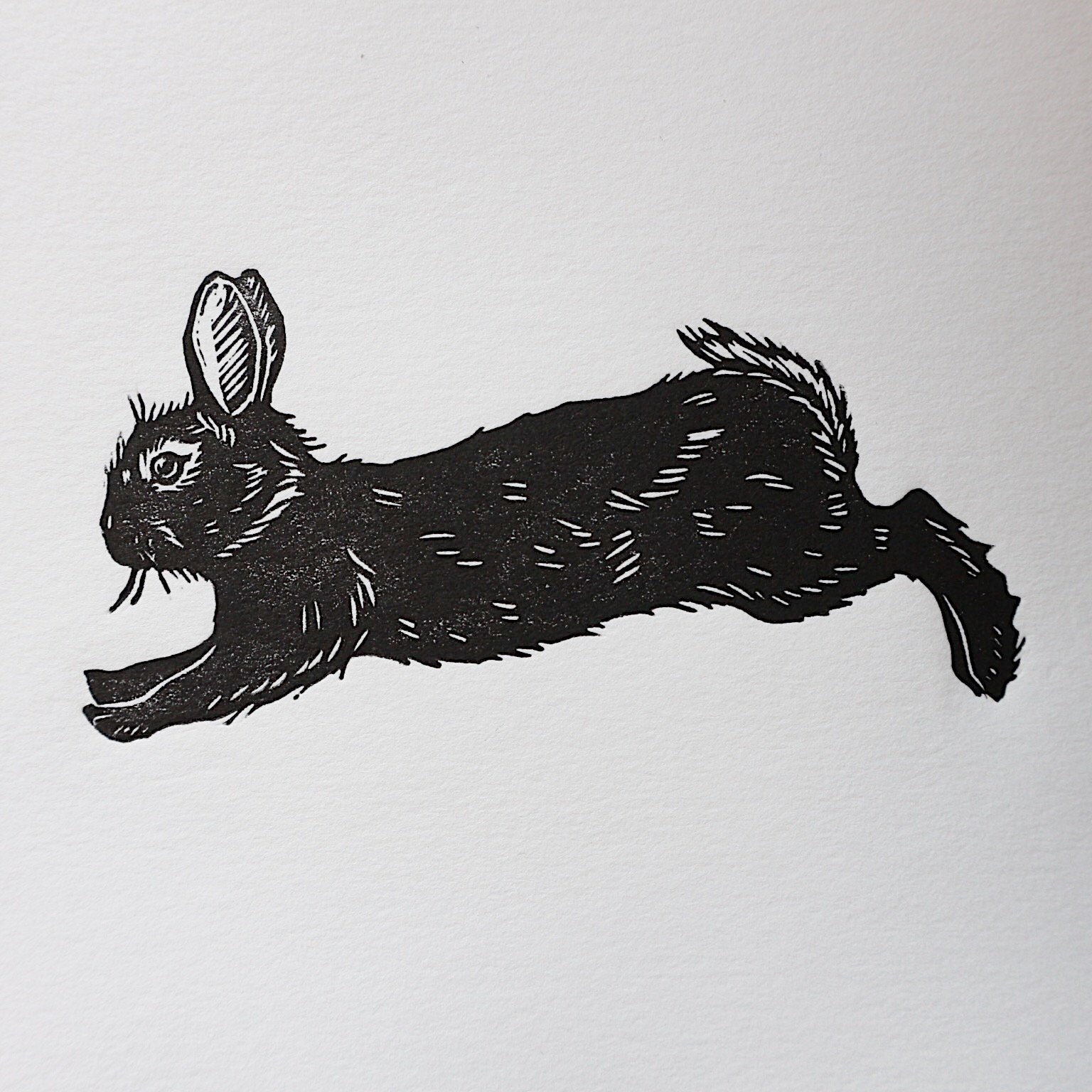 Leaping Rabbit | Emily Robertson