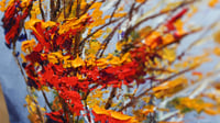 Image 3 of - Field Sketch -