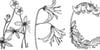 A, B, C