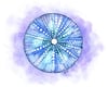 Purple Sea Urchin Shell