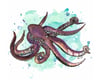 Octopus II