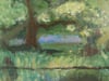 Hidden Bluebell's - Framed Original