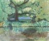 Hidden Bluebell's - Framed Original