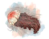 Lion's Mane Jellyfish