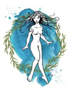 The Nereid