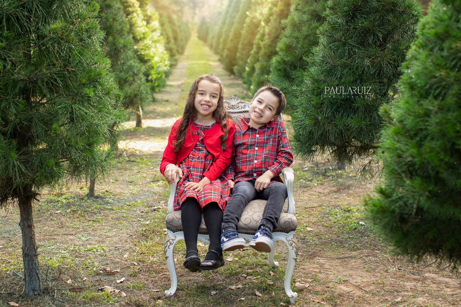 Image of Christmas Mini Sessions -  Tree Farm   ($100 booking fee)