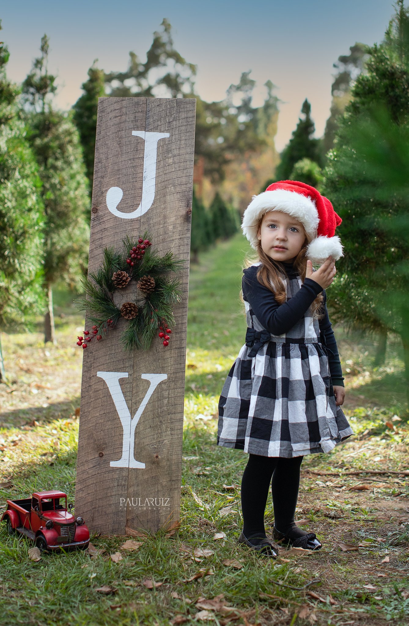 Image of Christmas Mini Sessions -  Tree Farm   ($100 booking fee)