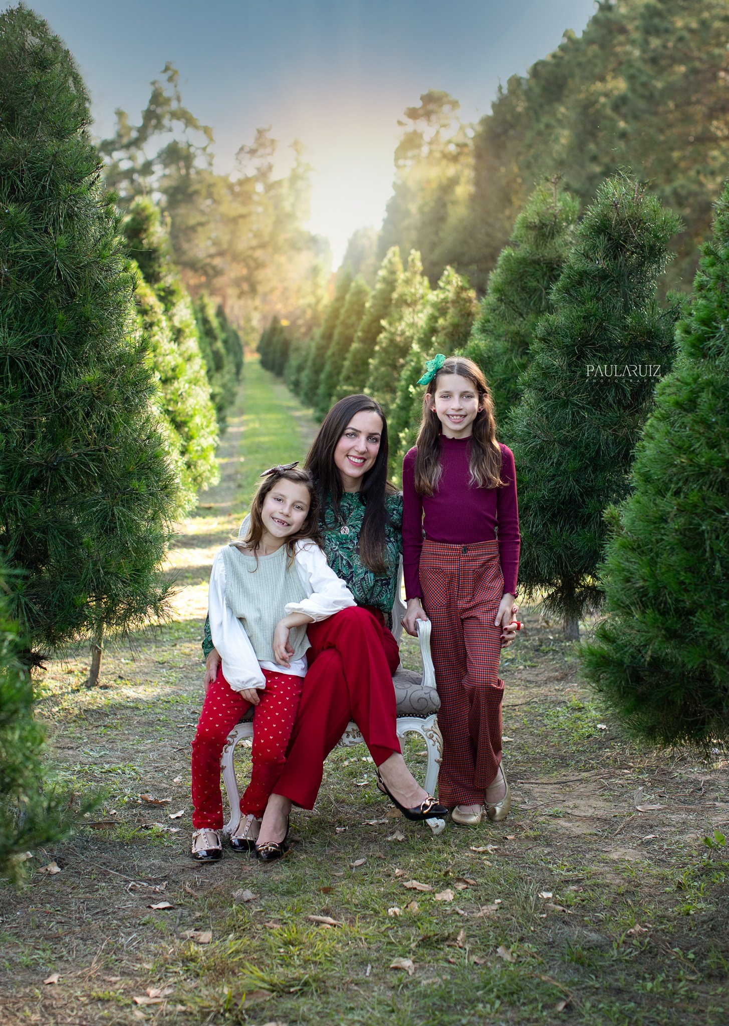 Image of Christmas Mini Sessions -  Tree Farm   ($100 booking fee)