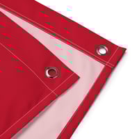 Image 3 of Air Allen Flag Red