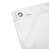 Image 4 of Air Allen Flag White