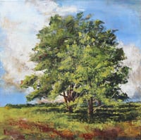 Image 1 of - Solitary Trees -