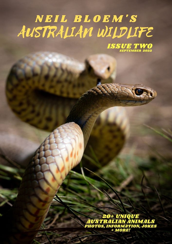 Image of Neil Bloem's Australian Wildlife ISSUE TWO (2022)