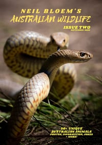 Image 1 of Neil Bloem's Australian Wildlife ISSUE TWO (2022)