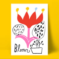 Image of BLOOM