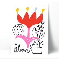 Image of BLOOM